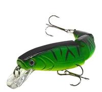 HESHUYAN SeñUelos Pesca Señuelos Duros de Pesca de lubina de múltiples Secciones con Ojos de pez 3D, 1 Unidad, crankbaits, Cebo Artificial Falso for Pesca de Carpas. SeñUelos De Pesca(C10 1PCS)