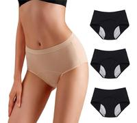 HESYSUAN Pantalones de período para mujer, pantalones lavables para incontinencia, a prueba de fugas, absorbentes, reutilizables, ropa interior, 3 piezas-1, 4XL