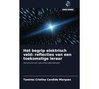 Het begrip elektrisch veld: reflecties van een toekomstige leraar: Het proces van natuurkundeonderwijs