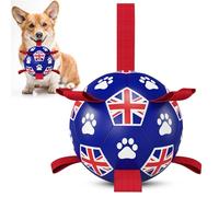 HETOO Juguetes interactivos de fútbol para perros con pestañas de agarre, bolas de agua duraderas para perros de raza pequeña y media, estilo bandera para interiores y exteriores (6 pulgadas)