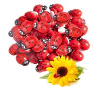 Heveer Mariquita de Madera Autoadhesivas 50 Piezas Mini Mariquitas Decorativas Adhesivos Decoración Mariquitas para Manualidades de Recortes de Bricolaje