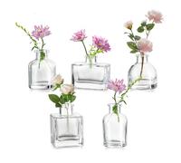 Hewory Jarrones de cristal para flores: 3 cm de ancho x 6 cm de alto, mini jarrones de cristal transparentes pequeños para decoración de mesa, 5 jarrones surtidos para centro de mesa de boda