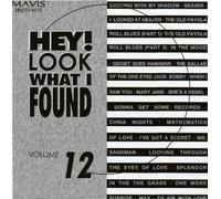 Hey Look What I Found 12 - Hey Look What I Found 12 / Var