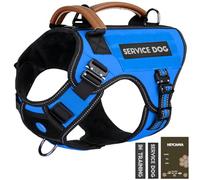 HEYCAHVA - Chaleco táctico para perro de servicio, con hebillas de metal, reflectante, sin tirones, con asa de cuero, gancho y bucle para entrenamiento de senderismo (azul, M)