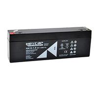 HEYCAR - Batería de Plomo AGM para aplicaciones estacionarias. 12V / 1,2Ah. Capacidad de descarga 18A 0,54 Kg. 98 x 43 x 52 mm