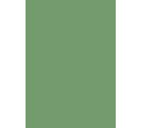 Heyda - Cartulina (50 x 70 cm, 300 g), color verde