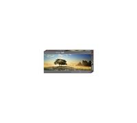 Heye- Other License Alexander Puzles, Multicolor (2929901)