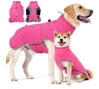 HEYWEAN Chaqueta Impermeable para Perro - Abrigo Invierno Reflectante con Forro Polar y D-Ring - Chubasquero para Perros Pequeños, Medianos y Grandes - Ropa Caliente