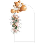 HEYZOEY Boda arco de globos, 10,2 cm, color blanco, decoración de boda, arco de rosas para ceremonia, cumpleaños, decoración de fiestas