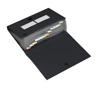 HF2 - Archivador con 12 pestañas (tamaño A4), color negro