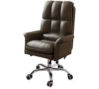 HFERTSCN Silla de Oficina en casa ergonómica con Soporte Lumbar Ajustable y Silla de Escritorio Trasero para Adultos Silla de Juego ejecutiva con Armas (tamaño Negro /) FANDIAO