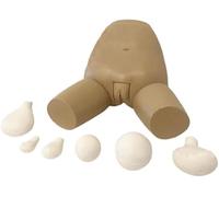 HGAYUBDV Regalo médico, Modelo de Examen y evaluación del Fondo uterino con 5 úteros Intercambiables, Modelo de anatomía uterina Femenina for formación médica educativa.