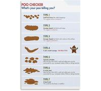 HGETJOHXEM Bristol Stool Chart Digestive Health Poster Stool Types Guide Educational Canvas Wall-Art Living Room Bedroom Decor(Unframed,16x24inch(40x60cm))