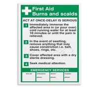 HGETJOHXEM Burn Injury First Aid Poster Scalp Care Guide Emergency Response Chart Educational Wall Print Living Room(Unframed,08x12inch(20x30cm))