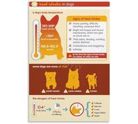 HGETJOHXEM Canine Heat A Caring Guide for Dog Owners Poster Canvas Wall-Art for Pet Loving Home or Clinic Lounge(Framed,12x18inch(30x45cm))