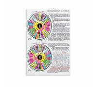 HGETJOHXEM Comprehensive Iridology Reference Chart - Detailed Eye Iris Map Poster, Canvas Print for Study or Decor(Framed,12x18inch(30x45cm))