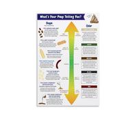 HGETJOHXEM Digestive Health Assessment Poster - Bristol Stool Chart & Gastrointestinal Reference, Educational Tool for Clinic or Classroom(Unframed,08x12inch(20x30cm))