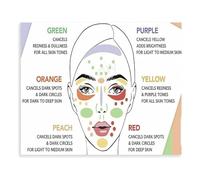 HGETJOHXEM Esthetician Reference Poster Skincare Guide and Information Chart Canvas Wall-Art for Spa or Salon Decor(Framed,12x18inch(30x45cm))
