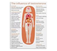 HGETJOHXEM Functions In Women Poster Hormone Health Guide Educational Wall-Art for Clinic Office(Framed,08x12inch(20x30cm))