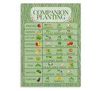 HGETJOHXEM Gardening Companion Planting Poster, Plant Pairing Chart for Healthy Vegetables, Canvas Wall Art for Garden Shed, Living Room, Home Office Decor(Unframed,16x24inch(40x60cm))