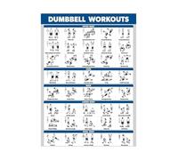 HGETJOHXEM Laminated Dumbbell Exercise Poster - 40+ Illustrated Workouts for Full Body Strength Training, Home Gym Wall Chart for Men and Women(Unframed,08x12inch(20x30cm))