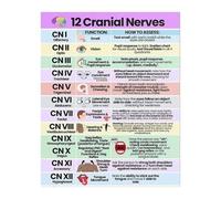 HGETJOHXEM Medical Study Poster: Cranial Nerves Color-Coded Reference Chart for Students, Nurses, and Doctors(Framed,08x12inch(20x30cm))
