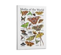 HGETJOHXEM Moth Life Cycle & Symbolism Art Print - Educational Insect Knowledge Poster for Nature Lovers, Biology Study, and Mystical Home Decor(Framed,16x24inch(40x60cm))