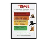 HGETJOHXEM Pet Emergency Care Poster Guide to Assessing Urgency Educational Wall-Art for Pet Owners Home Office Decor(Framed,12x18inch(30x45cm))