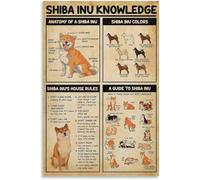 HGETJOHXEM Shiba Inu Knowledge Poster Vintage Dog Breed Guide Anatomy Chart Colors House Rules Wall-Art for Bedroom Classroom(Unframed,08x12inch(20x30cm))