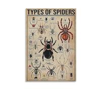 HGETJOHXEM Spider Species Identification Chart, Educational Poster on Arachnid Diversity with Orb-Weaver Jumping Spider Tarantula, Science Classroom Decor(Framed,08x12inch(20x30cm))