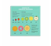 HGETJOHXEM Stages of Cervical Dilation Birth Poster - Anatomy Chart for Childbirth Education Class, Parents, Nursery or Clinic Wall Decor(Framed,08x12inch(20x30cm))