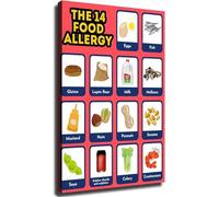 HGETJOHXEM The 14 Food Allergens Healthy Eating List Complete Chart Set Educational Wall-Art Great Home Decor for Kitchen Living Room Bedroom Office(Framed,16x24inch(40x60cm))