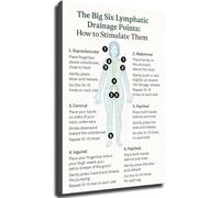 HGETJOHXEM The Big Six Lymphatic Drainage Points How to Stimulate Them Poster Wall-Art Stylish Room Decor for Kitchen Living Room Bedroom(Unframed,12x18inch(30x45cm))