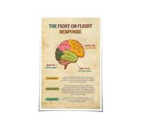 HGETJOHXEM Trauma Therapy Brain Chart - Anatomy of the Fight or Flight Response Nervous System, Mental Health Awareness Poster for Psychologist Office Decor(Unframed,08x12inch(20x30cm))