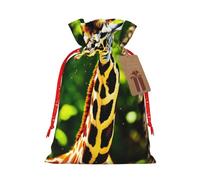 HGFVY Clever Giraffe - 1 bolsa de mano con cordón de 8.3 x 11.8 pulgadas para regalo de Navidad y almacenamiento y con etiquetas de regalo de papel kraft