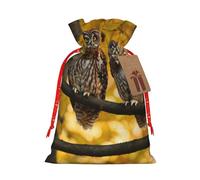 HGFVY Lindos búhos de dibujos animados marrones, 1 bolsa de mano con cordón de 8.3 x 11.8 pulgadas para regalo de Navidad y almacenamiento y con etiquetas de regalo de papel kraft