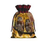 HGFVY Lindos búhos de dibujos animados marrones, 1 bolsa de mano con cordón de 8.3 x 11.8 pulgadas para regalo de Navidad y almacenamiento y con etiquetas de regalo de papel kraft
