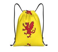 HGIUYDRD Mochila ligera con cordón con estampado de bandera española, elegante bolsa de gimnasio y bolsa de playa para viajes y fitness, Bandera del condado de Somerset, S