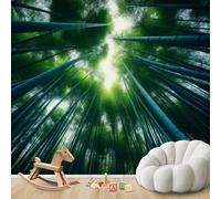 hgjdjhnf Papel pintado moderno Zen Bamboo Forest para pared, ideal para sala de estar, dormitorio o habitación infantil. Diseño decorativo. 430 cm x 300 cm.