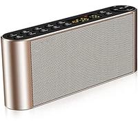 HGJHJJHK Altavoz portátil inalámbrico Altavoz Bluetooth Controladores duales Players MP3 Radio estéreo con Sonido HD, micrófono Incorporado, Audio de Alta definición y bajo Mejorado, Dorado