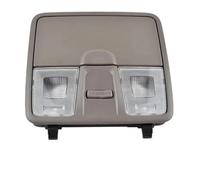 HGNMPGVVTZ 92800-4V000 Conjunto Luces Lectura Para Consola De Techo Coche Para Hyundai Para Elantra 2012-2017 Luz De Mapa De Techo Caja Gafas 928004V000TX(Gray)
