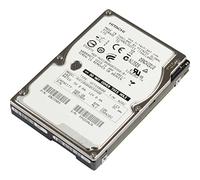 HGST Disco Duro Endurastar 100 GB S-ATA (J4K320)