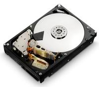 HGST Ultrastar 4TB SAS 64MB - Disco Duro (Serial Attached SCSI (SAS), Unidad de Disco Duro, 5-60 °C, -40-70 °C)