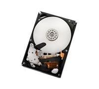 HGST Ultrastar A7K2000 - Disco duro de 1 TB