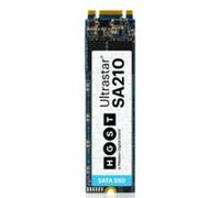 HGST WD SSD Ultrastar SA210 M.2 240 GB 240 GB - Discos SSD (240 GB)