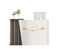 HGTRH Mostrador de Recepción con Mostrador, Diseño Moderno para Clinicas o Spas,recepciones peluqueria,balcao de recepção, Simple Modern recepción mostrador Grey 140cm