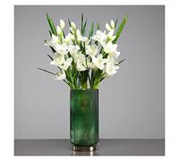 Hhaoran-9868 Jarrones de cristal para terrario moderno hidropónico, nórdico, minimalista, lujoso, decoración de mesa de boda, productos para el hogar, adecuados para comedor y sala de estar