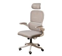 Hhaoran-9868 Silla para Juegos de computadora Silla de Escritorio con Soporte Lumbar ergonómico, reposacabezas y reposabrazos, Silla de Oficina for Oficina en casa(Grey)