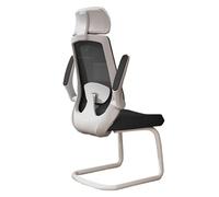 Hhaoran-9868 Silla para Juegos de computadora Silla de Escritorio ergonómica de Las sillas de Escritorio de Oficina con la Silla ejecutiva Ajustable de la Ayuda Lumbar de la barandilla(Blanco)