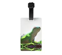 HHGFASD Lizard Looking up at The Sky Pattern - Etiqueta de equipaje con diseño de lagarto adecuado tanto para hombres como para mujeres, impreso con etiquetas multifuncionales y bonitas